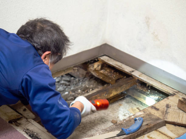 Best Post-Remediation Services in Brisbane, CA