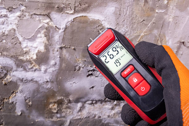 Best HVAC Mold Remediation in Brisbane, CA