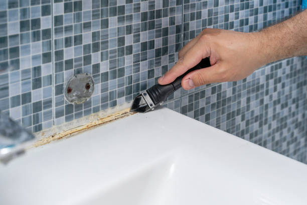 Best White Mold Remediation in Brisbane, CA